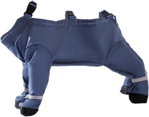 Dog Outdoor Gear for Rain and Snow ...