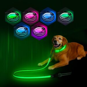 Multi-Color Light Up Dog Leash 4FT ...