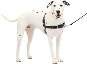 PetSafe Easy Walk Harness, No Pull ...