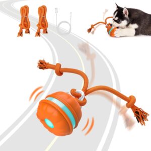 Interactive Dog Toys, Motion Activa...