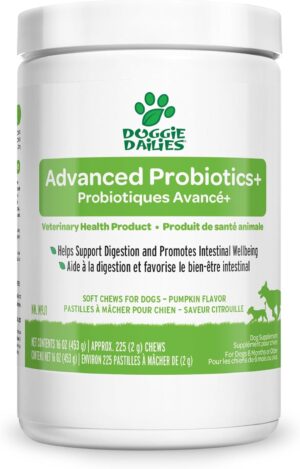 Doggie Dailies Probiotics for Dogs,...