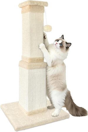 AGYM Cat Scratching Post, 32 Inch L...