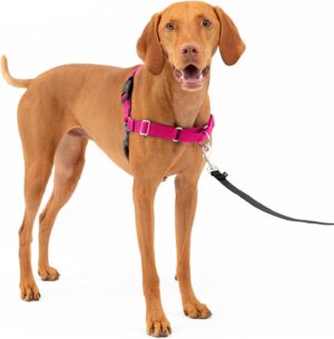 Petsafe Easy Walk Dog Harness, No P...