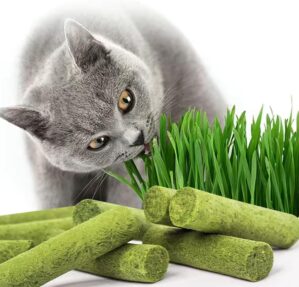 120g Freezed Dried Cat Grass Teethi...