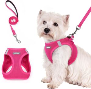 rabbitgoo Dog Harness Small Breed a...