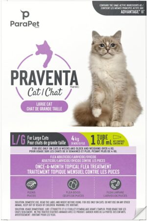 Parapet Praventa for Large Cats ...