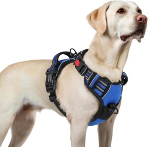 rabbitgoo Dog Harnesses for Large D...