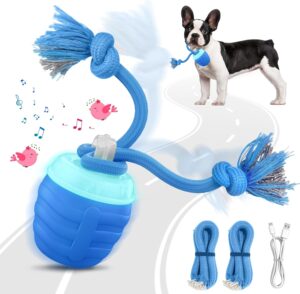 Interactive Dog Toys – New Up...