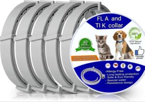 40 Months Dog & Cat Collar, 64...