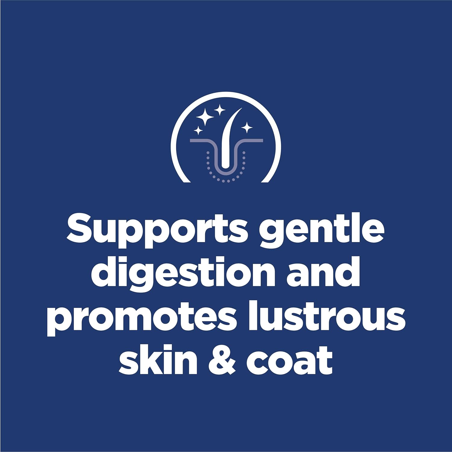 Hill's Science Diet Adult Sensitive Stomach & Skin Chicken Recipe Dry Dog Food 13.6 kg Bag - Image 3