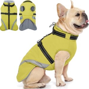 QBLEEV Dog Coat for Medium Dogs, Wa...
