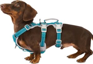 Huntboo Escape Proof Dog Harness, E...