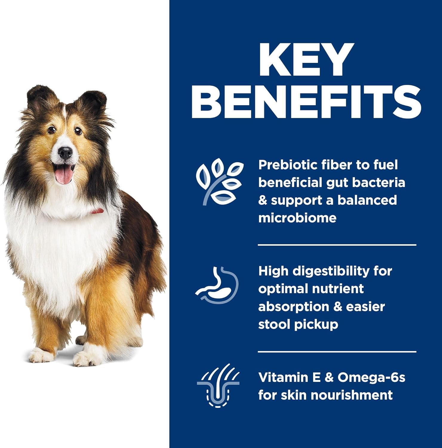 Hill's Science Diet Adult Sensitive Stomach & Skin Chicken Recipe Dry Dog Food 13.6 kg Bag - Image 5