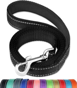 FunTags 6FT Reflective Dog Leash wi...