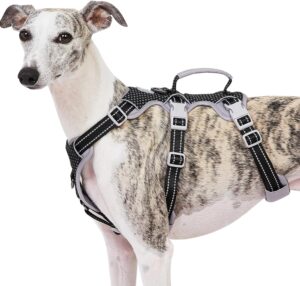 Huntboo Escape Proof Dog Harness, S...