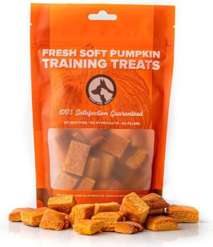 Only One Treats Soft Pumpkin Traini...