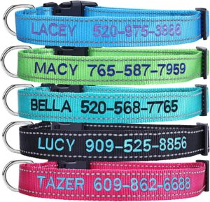 Personalized Dog Collar, Custom Emb...