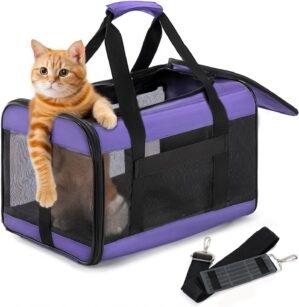 Conlun Cat Carrier Airline Approved...