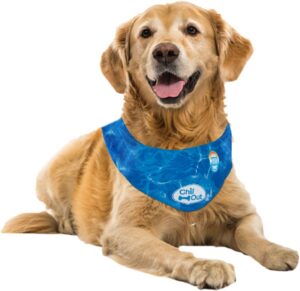 ALL FOR PAWS Cooling Dog Bandana, B...