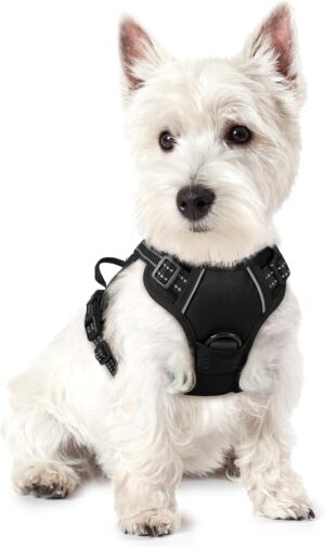 rabbitgoo Dog Harness, No-Pull Pet ...