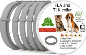 40 Months Dog & Cat Collar, 64...