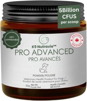 Dog Probiotic Powder for Digestive ...