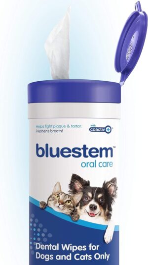 bluestem Dental Wipes for Dogs ...