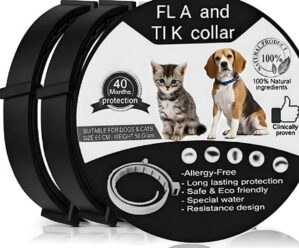 Dog & Cat Collar, 62CM Adjusta...