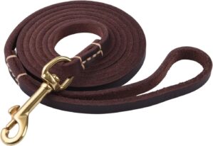 Dog Leash, 4ft 5ft 6ft Geniune Leat...