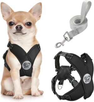 Pawaboo Small Dog Harness and Leash...