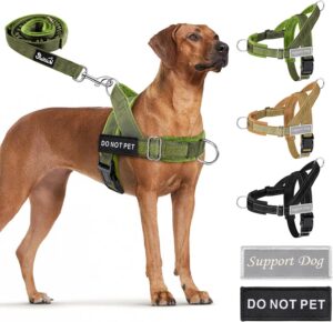 SlowTon No Pull Dog Harness and Lea...