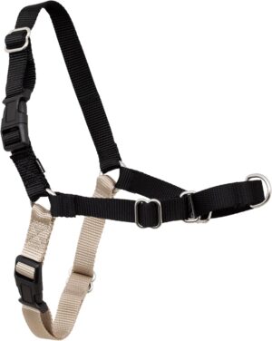 PetSafe Easy Walk Harness, No Pull ...