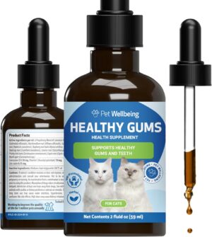 Pet Wellbeing – Healthy Gums ...