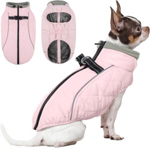 QBLEEV Dog Coat for Small Dogs, Win...