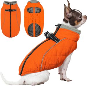 QBLEEV Dog Coat for Small Dogs, Win...