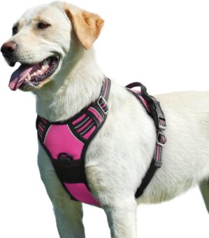 Eagloo Dog Harness No Pull, Walking...