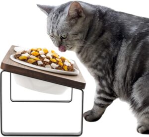 Sunhoo Cat Bowl Elevated Cat Food W...