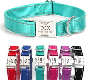 Personalized Reflective Nylon Dog C...