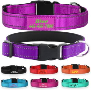 Custom Reflective Nylon Dog Collar ...