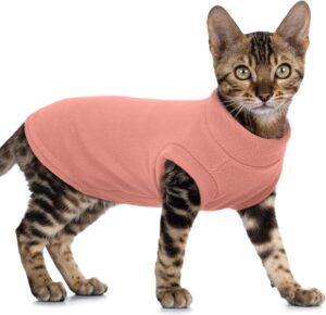 PUMYPOREITY Fleece Cat Vest, Thick ...