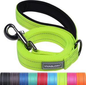 VIVAGLORY Dailyx Dog Leash, Nylon L...