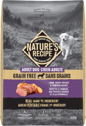 Nature’s Recipe Adult Grain F...