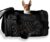 JACKO & CO – Premium Dog & Cat Carrier up to 8lbs, TSA Airline Approved with Luggage Loop, Soft-Sided Travel Carrier Bag for Pets, Small Dogs, Puppies, Kittens, Ventilated Windows & Fully Collapsible
