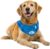 ALL FOR PAWS Cooling Dog Bandana, Blue, XL, Dog Collar, Neck Cooler, Ice Bandana, Summer, NBA Theme