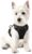 rabbitgoo Dog Harness, No-Pull Pet Harness with 2 Leash Clips, Adjustable Soft Padded Dog Vest, Reflective No-Choke Pet Oxford Vest with Easy Control Handle for Small Dogs, Black, XS