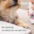 Dentaclean Spray for Dogs & Cats, Natural Breath Freshener No-Brush Oral Care, Daily Use Dental Spray for Plaque Control, Gum Health Tartar Remover (2)