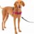 Petsafe Easy Walk Dog Harness, No Pull Dog Harness, Raspberry/Gray, Medium