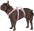 Huntboo Escape Proof Dog Harness, Escape Artist Harness, Fully Reflective Harness with Padded Handle, Breathable,Durable, Adjustable Vest for Medium Dogs Walking, Training, and Running Gear (Pink,M)