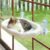 AMOSIJOY Cordless Cat Window Perch, Cat Hammock for Window with 4 Strong Suction Cups, Solid Metal Frame and Soft Cover, Foldable Cat Beds for Indoor Cats…