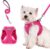 rabbitgoo Dog Harness Small Breed and Leash, Step in Soft Light Puppy Vest, Breathable Mesh No Pull Pet Harness, Reflective for Safe Easy Walking, Rose Red S